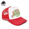 Two Tone Trucker Hat